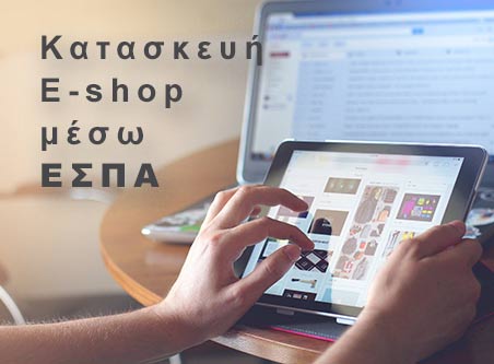 Subsidized eCommerce Development