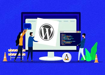 Website Construction in WordPress