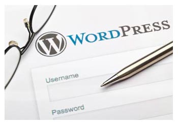 WordPress Development